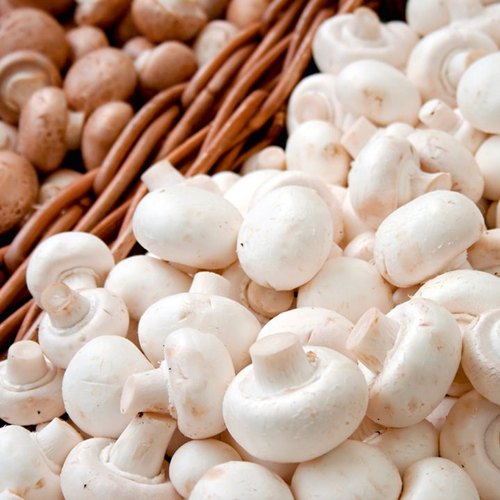 Ooty Mushroom